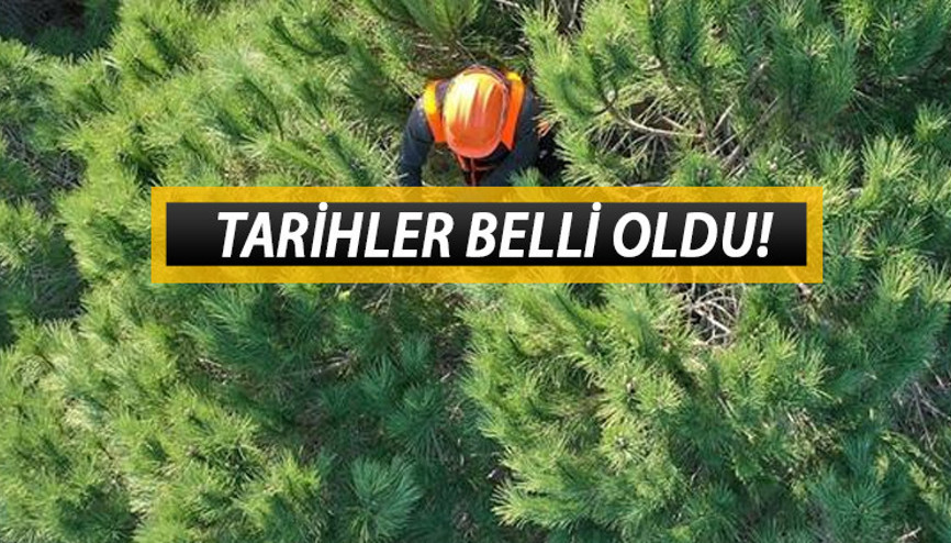 OGM 54 şehirde personel alımı için ilan yayınladı 2022 Orman Genel Müdürlüğü işçi alımı başvuru şartları ve tarihleri belli oldu