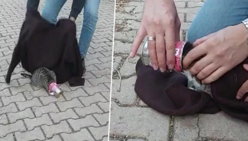 Osmaniyede başı teneke mama kabına sıkışan kediyi kurtardılar