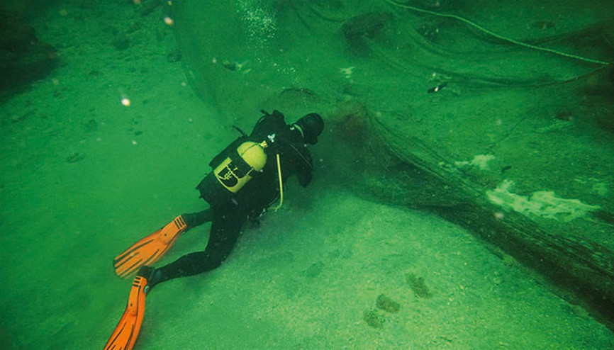 21 bin metrekare ağ çıkardılar Hayalet ağ avcıları
