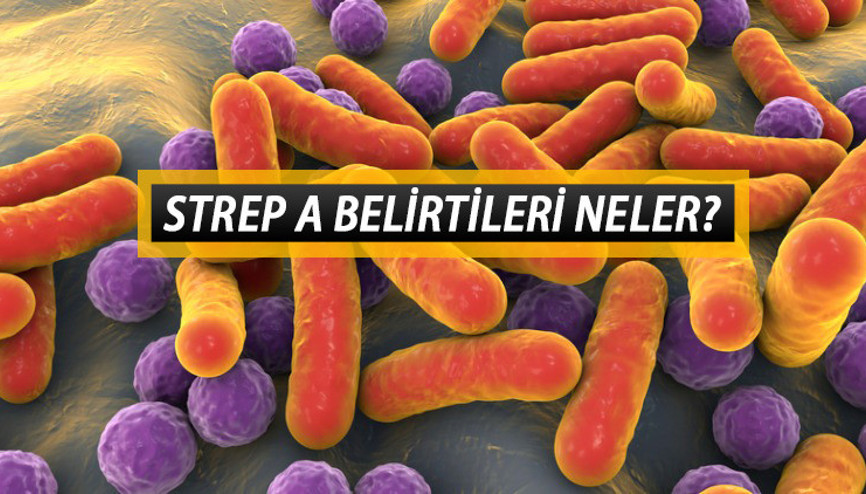 STREP A nedir, nasıl bulaşır A grubu streptokok belirtileri nelerdir, nasıl tedavi edilir