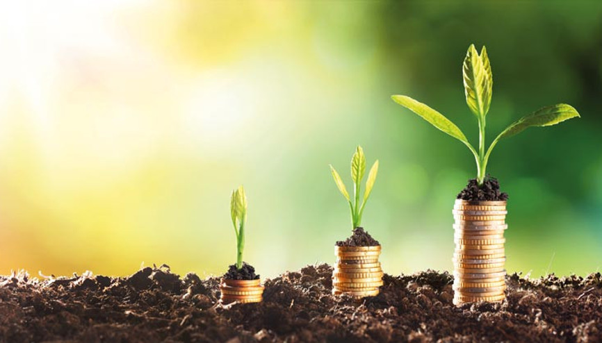 Ekonomik kalkınmaya yeşil dönüşüm desteği