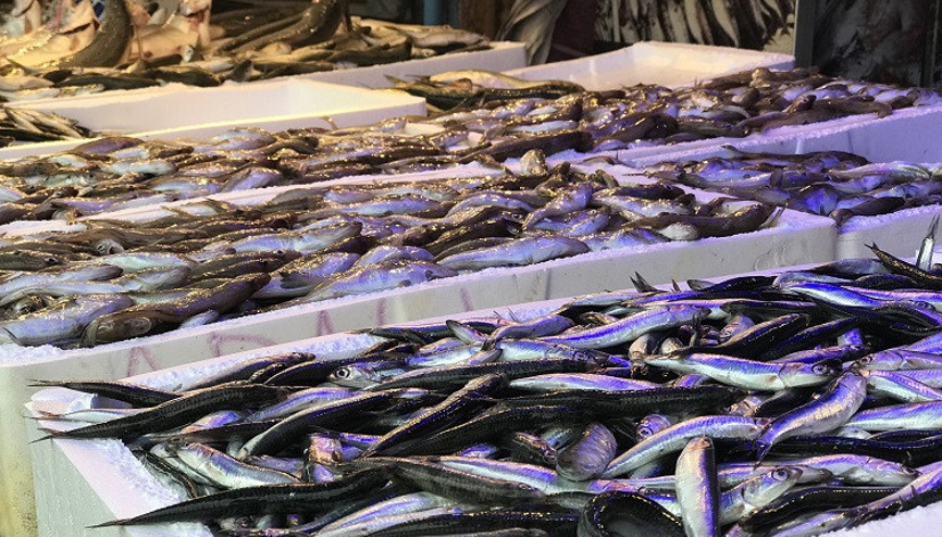 Aralık ayında hangi balıklar yenmeli İşte Aralıkta yenmesi lezzetli balıklar.. Aralık ayında hangi balıklar yenmeli İşte Aralıkta yenmesi lezzetli balıklar..