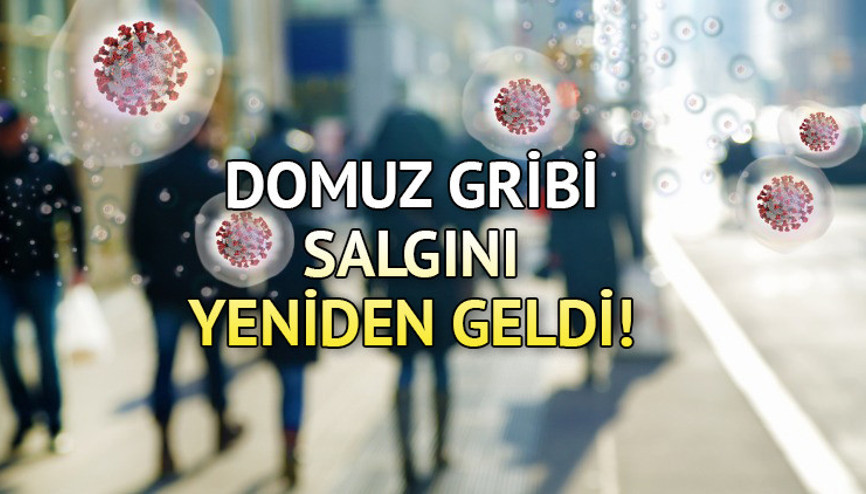 Domuz gribi salgınına dikkat Domuz gribi bulaşıcı mı, ne kadar sürer İşte, domuz gribi belirtileri ve tedavisi