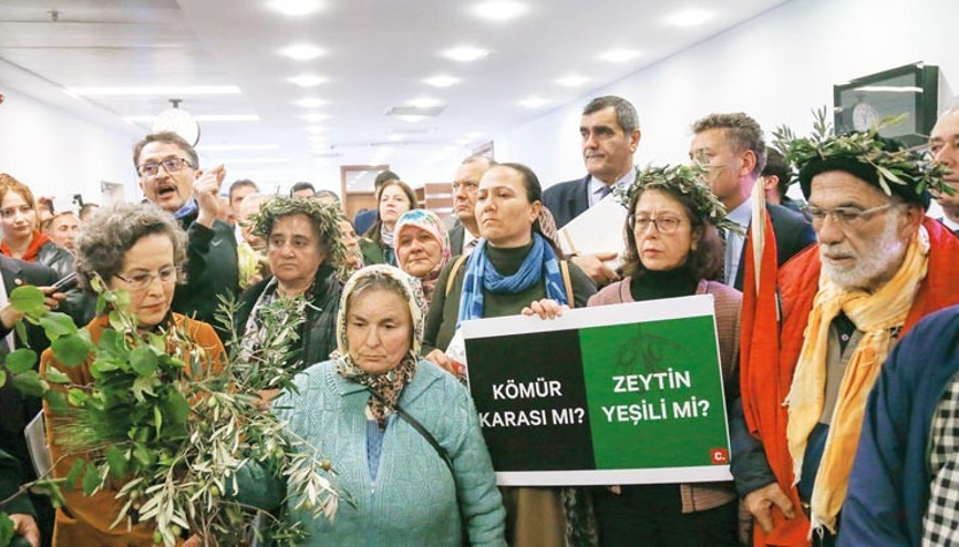 Zeytinlikler bir kez daha kurtuldu
