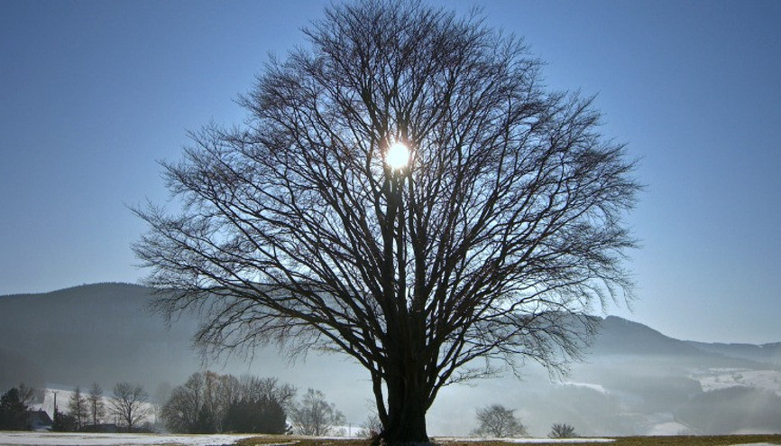 En uzun gece ne zaman 2022, hangi gün 21 Aralık kış gündönümü nedir, özellikleri nelerdir
