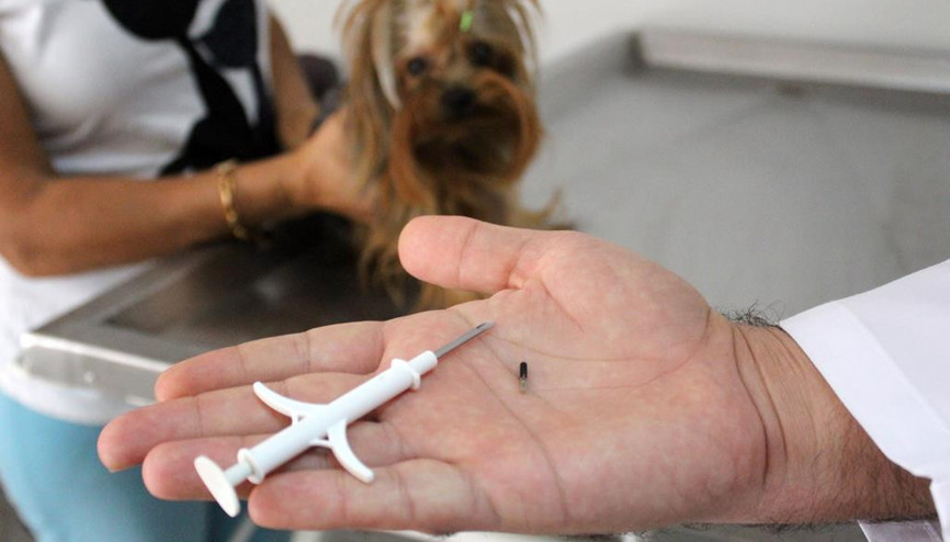 Mikroçip tükendi uzatma talebi geldi