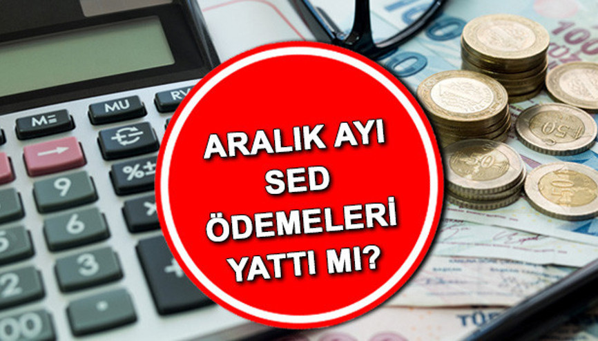SED yardımı sorgulama ekranı: Aralık ayı SED ödemeleri yattı mı, ne zaman yatırılacak Bakan Yanık Sosyal ve Ekonomik Destek ödeme tarihini duyurdu