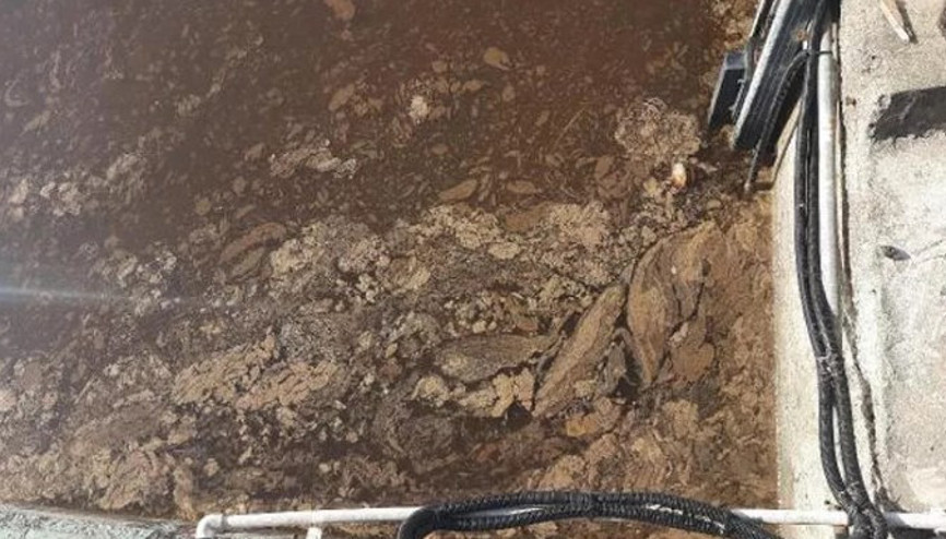 İzmit Körfezinin rengi kahverengiye döndü