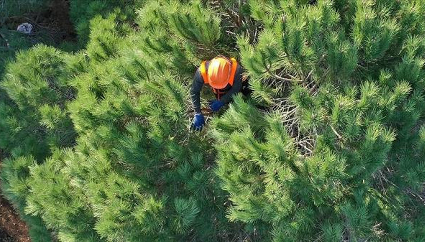 OGM personel ve işçi alımı başvuruları ne zaman 2023 Orman Genel Müdürlüğü toplam bin 613 personel alımı yapacak… OGM personel ve işçi alımı başvuruları ne zaman 2023 Orman Genel Müdürlüğü toplam bin 613 personel alımı yapacak…