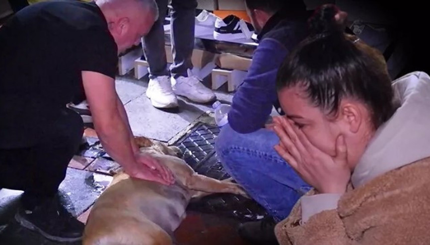 Zehirlendiği iddia edilen köpeğe dakikalarca kalp masajı yapıp gözyaşı döktüler Zehirlendiği iddia edilen köpeğe dakikalarca kalp masajı yapıp gözyaşı döktüler
