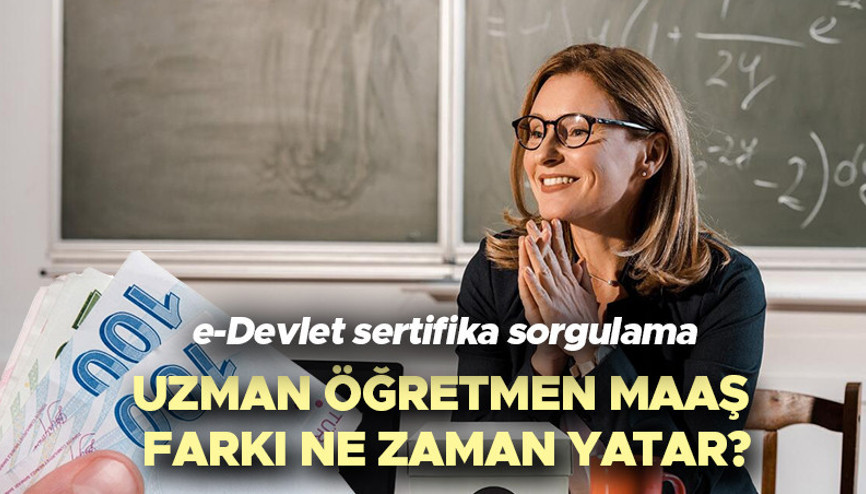 Uzman öğretmenlik sertifikası e-Devlet sorgulama: Uzman öğretmen ve başöğretmen maaş farkları ne zaman yatacak