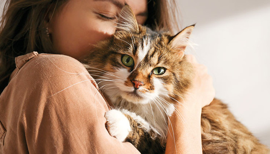 Çip krizini beyanname çözecek