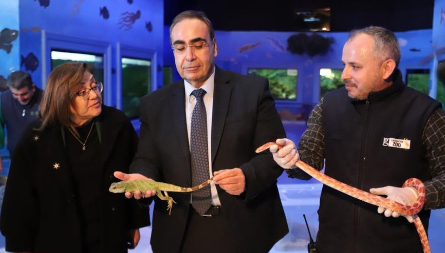 Kaçak yollarla yurda sokulan 108 hayvanın yeni yuvası Gaziantep oldu