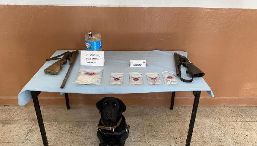 Tunceli’de uyuşturucu operasyonu: 11 gözaltı