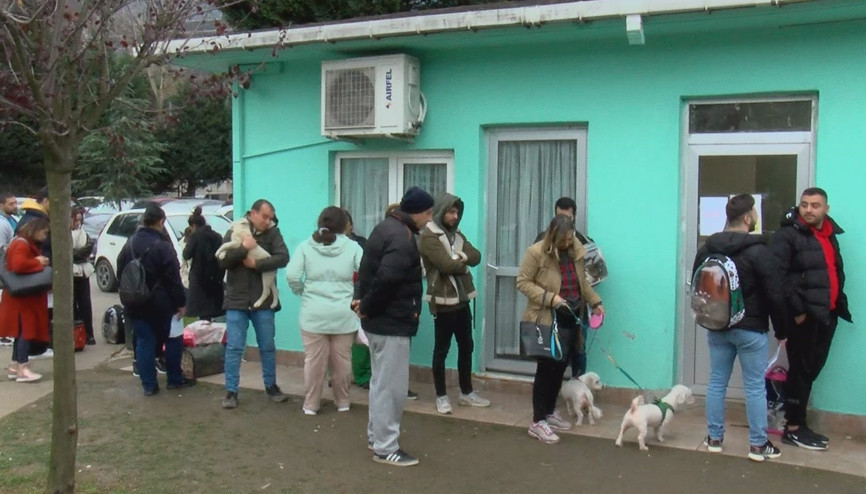 İstanbul İl Tarım Müdürü: 220 bin kedi, 103 bin köpeğe çip takıldı