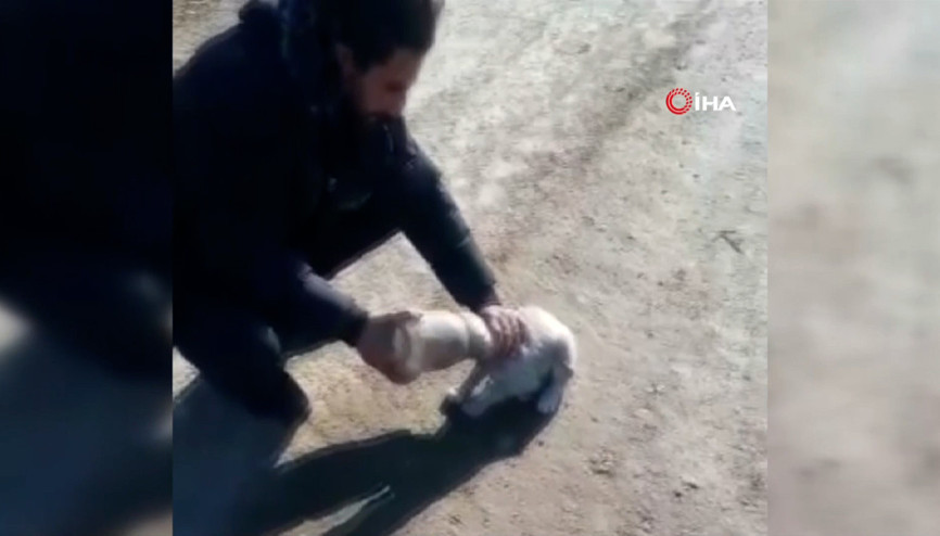 Kafası kavanoza sıkışan yavru köpeği vatandaş kurtardı