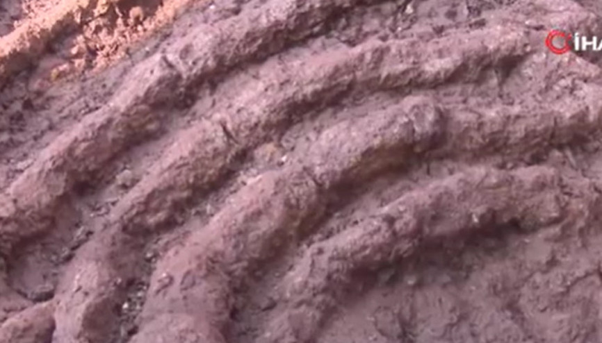 Çin’de dinozor fosilleri bulundu