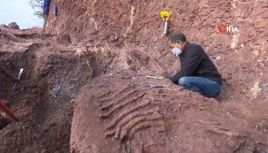Çin’de kazı çalışmalarında dinozor fosilleri bulundu