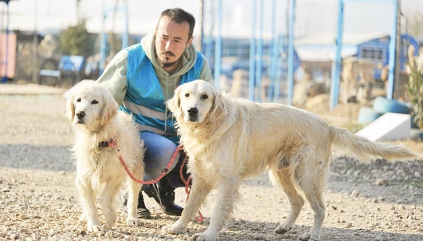 Dost patilere ‘çip’ terki