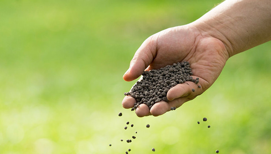 New Yorkta cesetlerin gübreye dönüştürülmesine onay