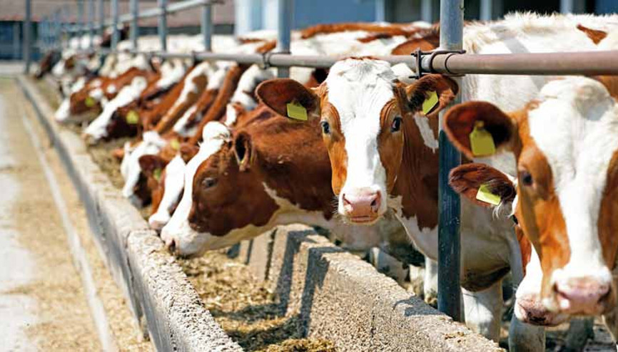 ESK’dan üreticiye zam