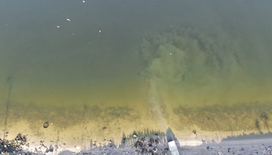 Küçükçekmecenin MRı çekildi Tek tek yok olmaya başladılar...