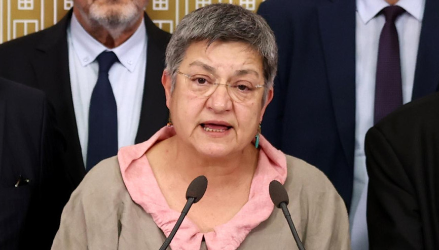 Şebnem Korur Fincancının cumhurbaşkanına hakaret cezasına onama Şebnem Korur Fincancının cumhurbaşkanına hakaret cezasına onama