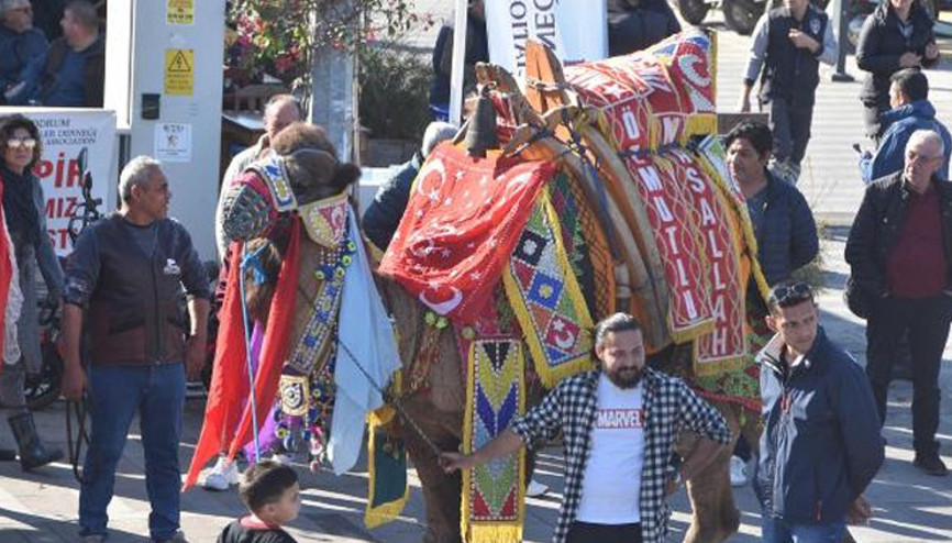 Bodrum sokaklarına develer çıktı, turistler fotoğraf çektirdi