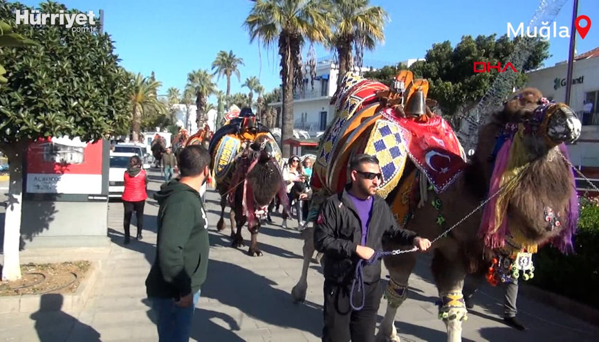 Bodrum sokaklarına develer çıktı, turistler fotoğraf çektirdi