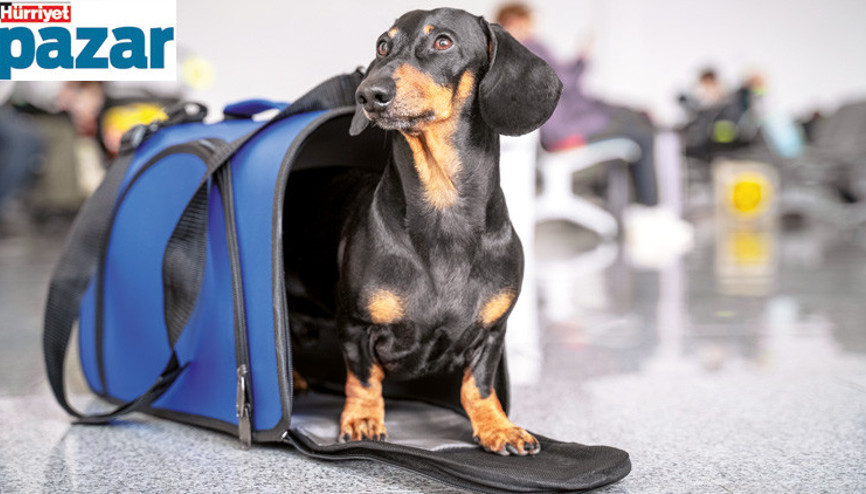 Dostlarımızla yolculuk zor ama imkânsız değil