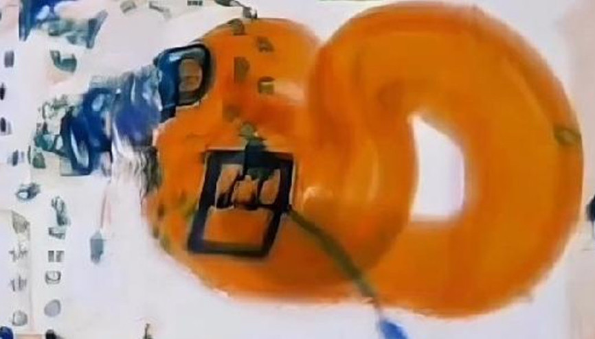 El bagajının içinden boa yılanı çıktı