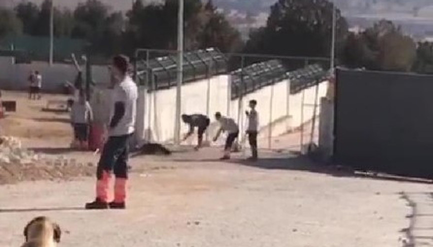 Köpeğin kürekle öldürülmesinde 2 sanığın tahliyesine itiraz, reddedildi