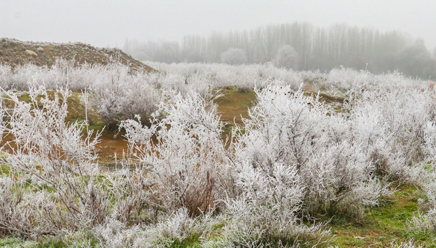 Dicle Vadisi, kırağı ile birlikte beyaza büründü