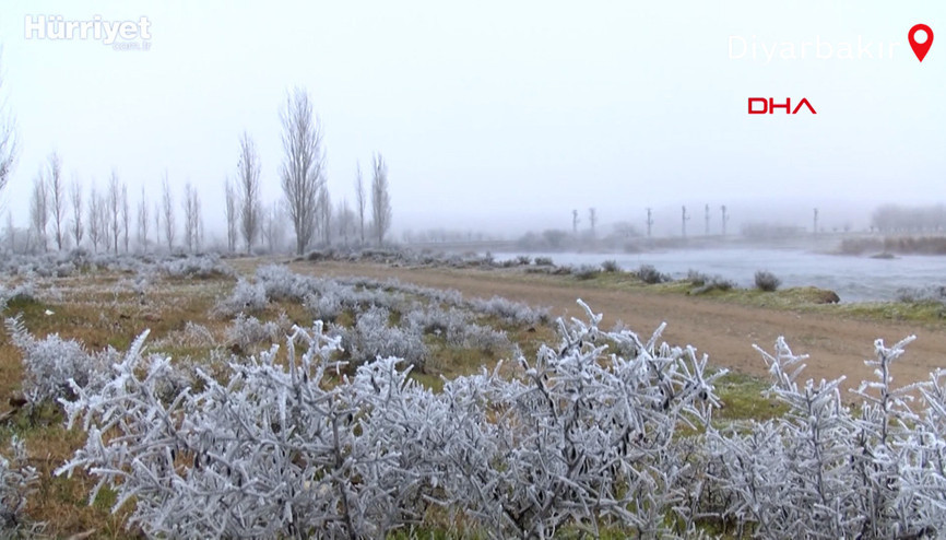 Dicle Vadisi, kırağı ile birlikte beyaza büründü