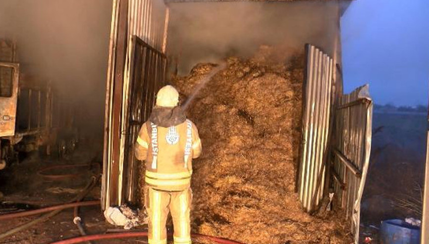 Çatalcada ahır yandı: 7 büyükbaş hayvan öldü