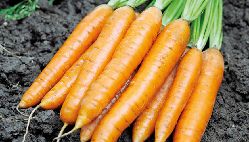 Turuncu bir aşk hikâyesi