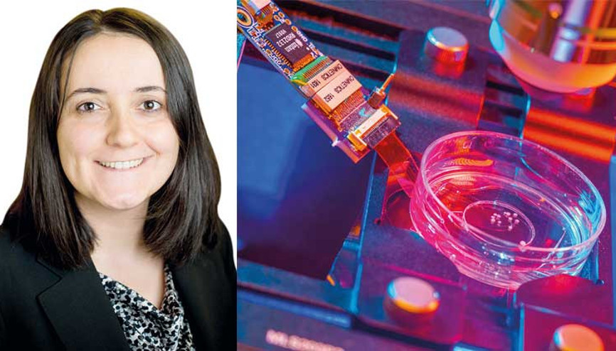 Hasarlı beyne yapay dokuyla tedavi