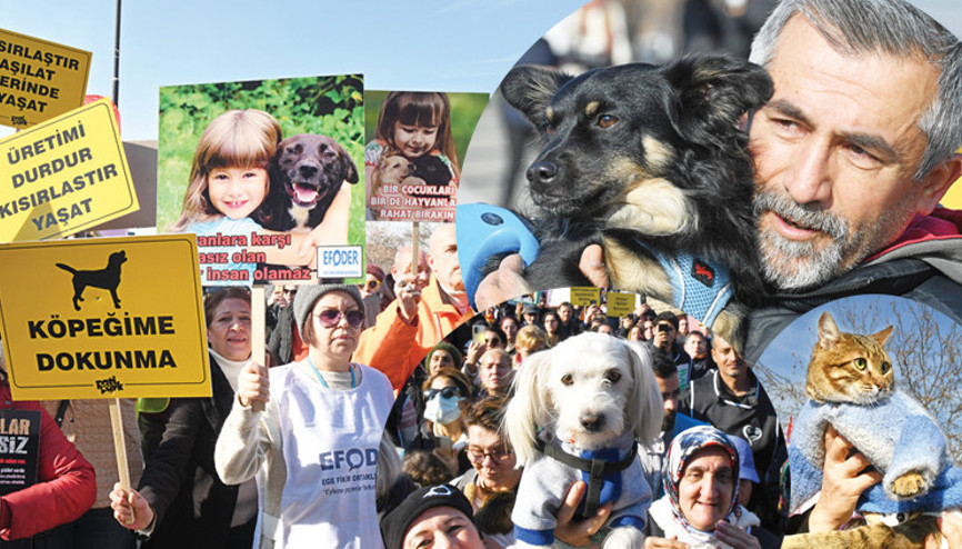 Hayvanseverler eylem yaptı: Kürekle değil yürekle
