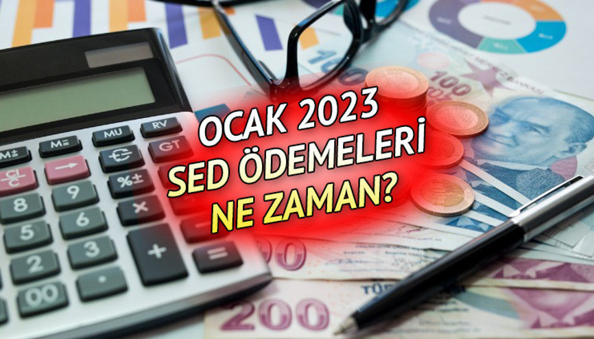 SED 2023 OCAK AYI ÖDEMELERİ NE ZAMAN SED yardımı hesaplara hangi tarihte yatacak İşte Sosyal ve Ekonomik Destek sorgulama ekranı