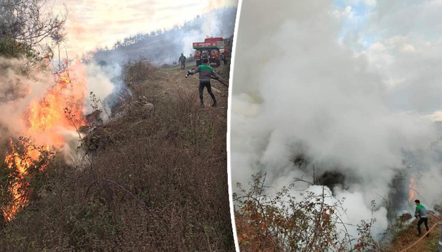 Ormanı 17 yerden yaktı: Jandarma tarafından yakalandı