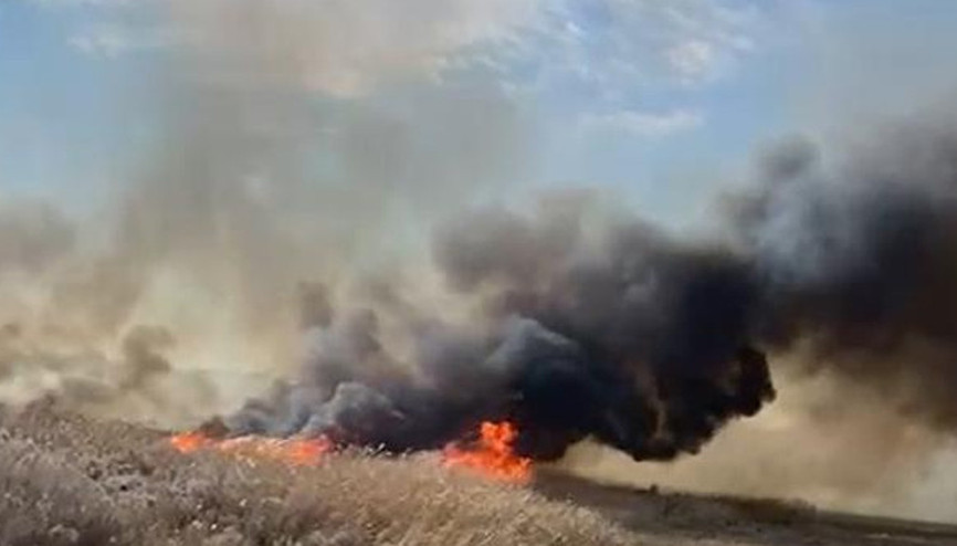İznik Gölü kıyısında sazlık yangını: 10 dönüm alan zarar gördü