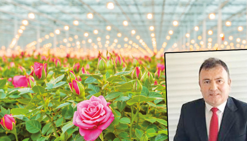 Çiçek gibi yatırım Çiçek gibi yatırım