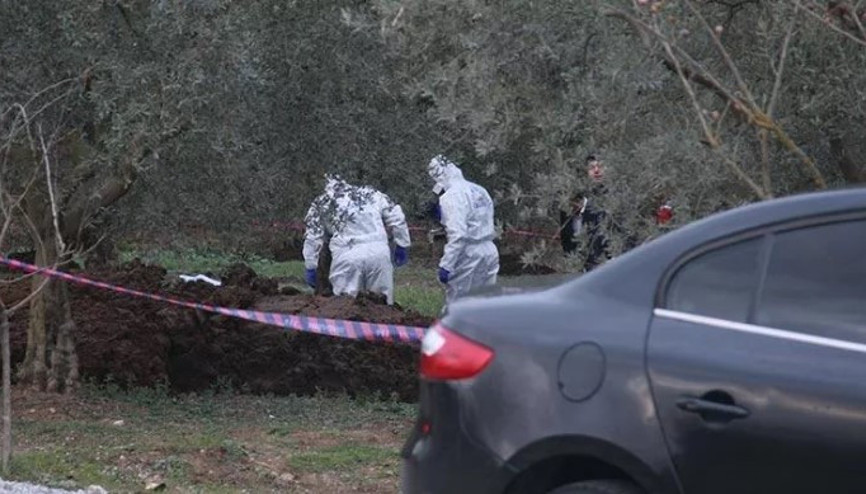 Bursada zeytinliğe getirilen gübrenin içinden ceset çıktı
