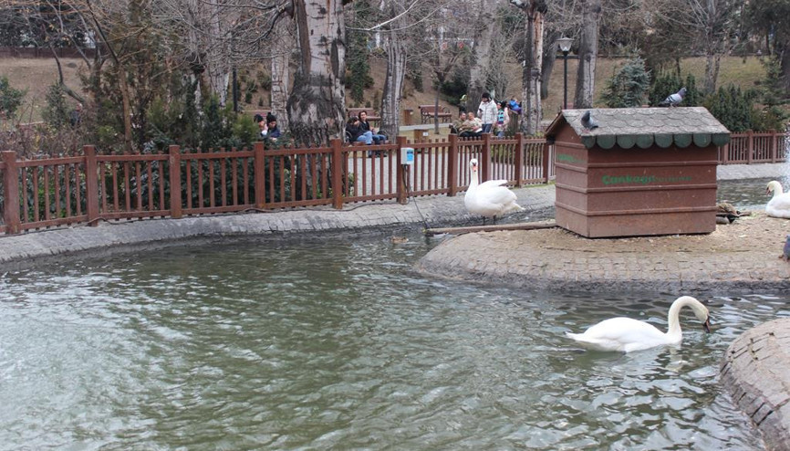 Mevsim aynı manzara farklı