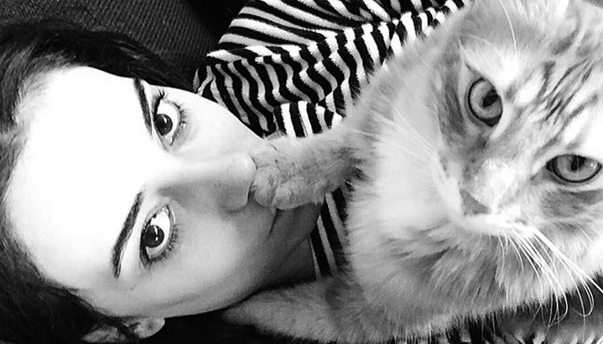 Kedili evde mum değil abajur bile yakılmaz