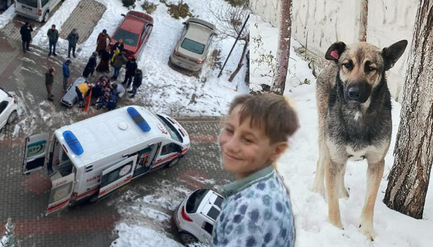 Vanın Tuşba ilçesinde köpeğin saldırısına uğrayan 10 yaşındaki çocuk hayatını kaybetti