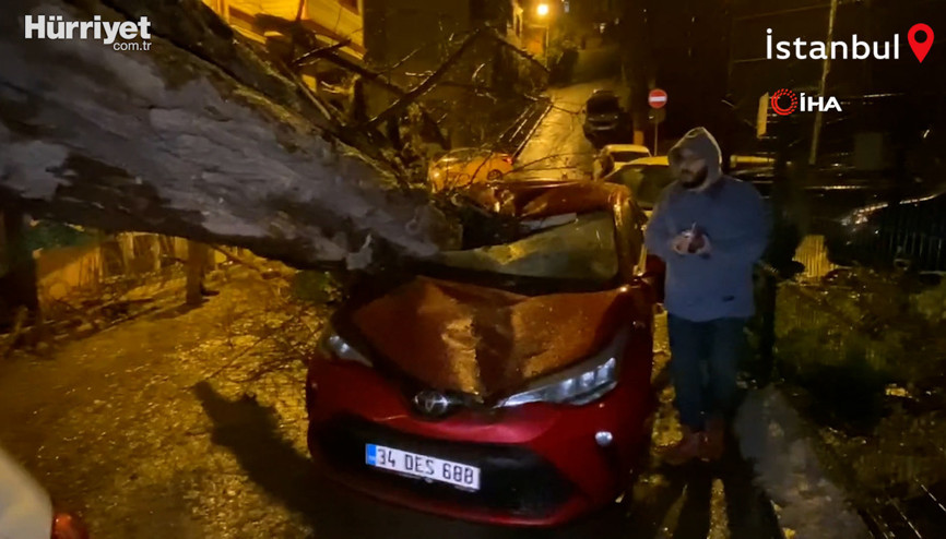 Yarım asırlık akasya ağacı 2 otomobilin üzerine devrildi