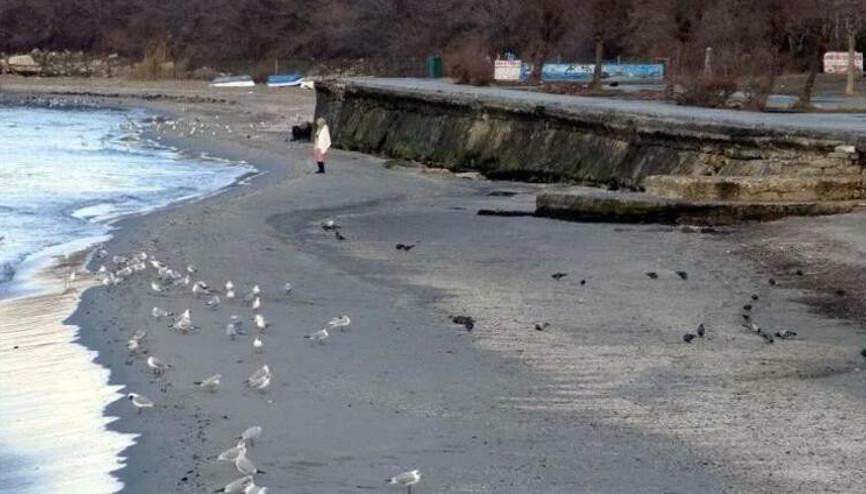 Deniz çekilmesi deprem habercisi mi sorusu sosyal medyada yayılmıştı... Deniz çekilmesi neden olur İşte Kandilli Rasathanesi açıklaması...
