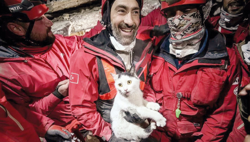 Patilerin sahipleri aranıyor