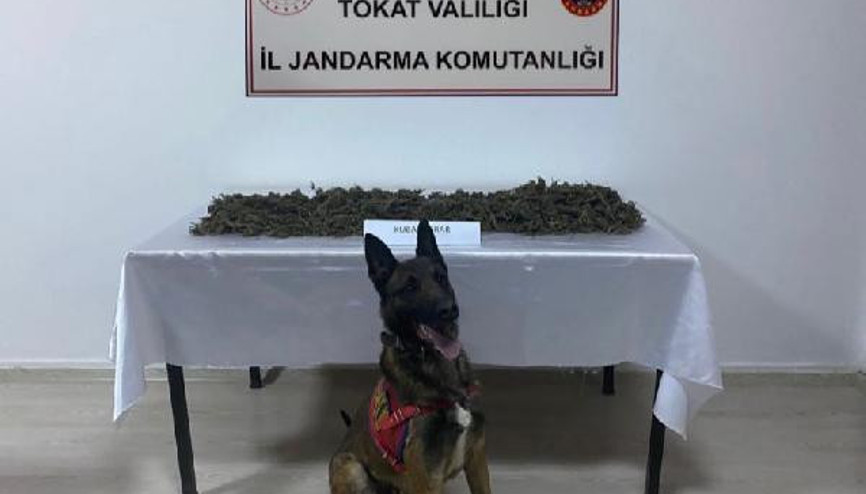 Niksarda 1 kilo 180 gram kubar esrar ele geçirildi